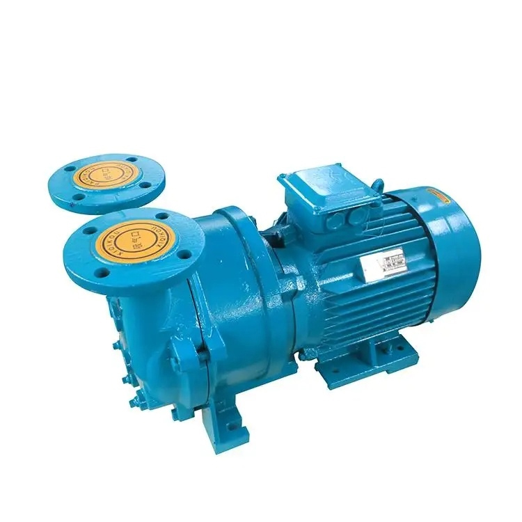 水環(huán)式真空泵