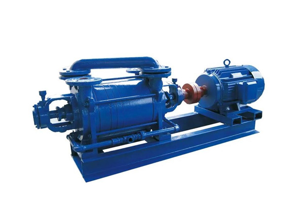 水環(huán)式真空泵